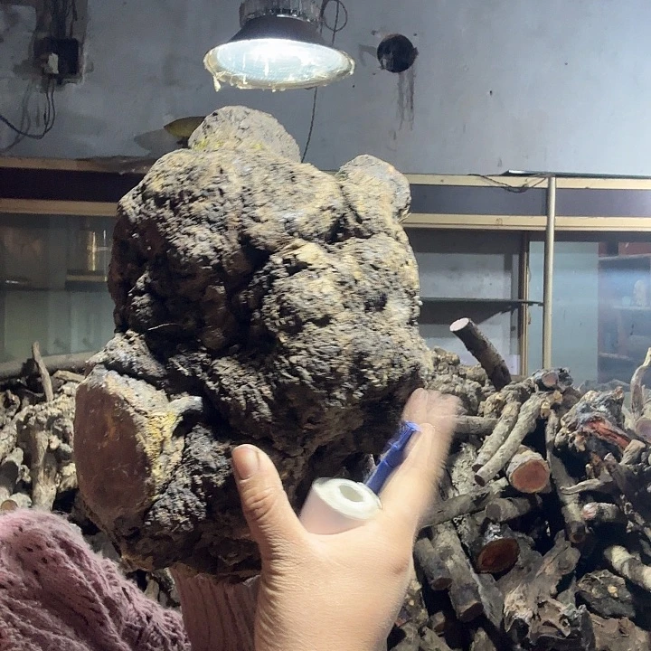 C***D香榧木火琉璃的故事是一个