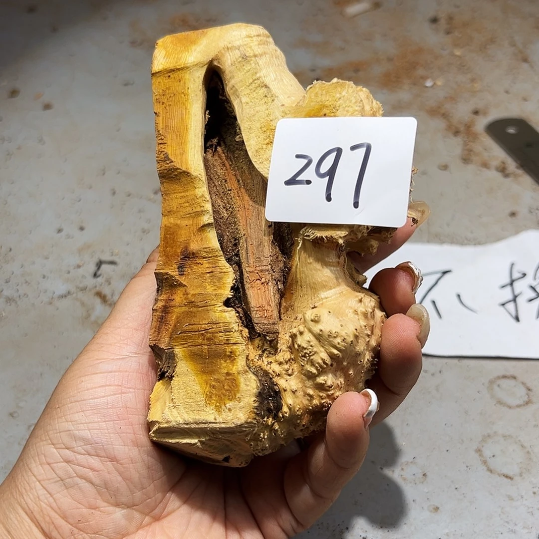 香榧木不退不换不退不换