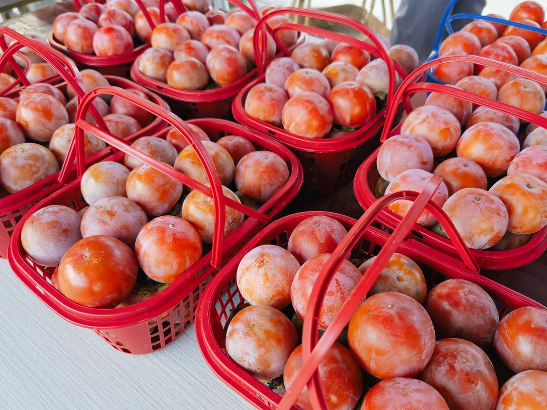 余粮山大红柿，软糯Q弹