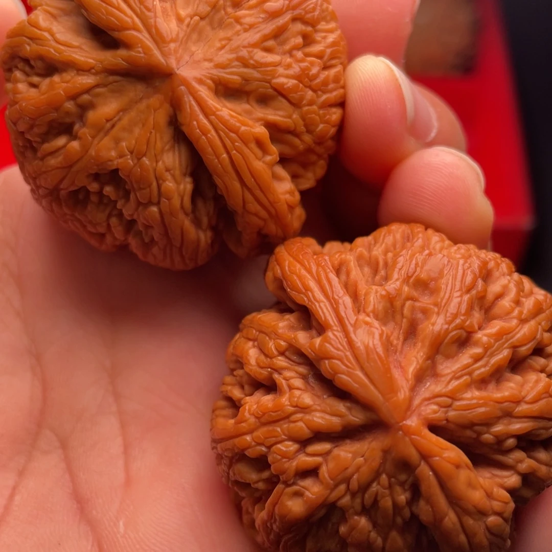文玩核桃把件秦岭山脉核桃