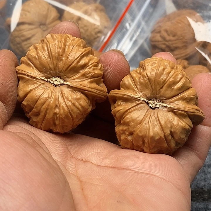 文玩核桃南瓜核桃文玩