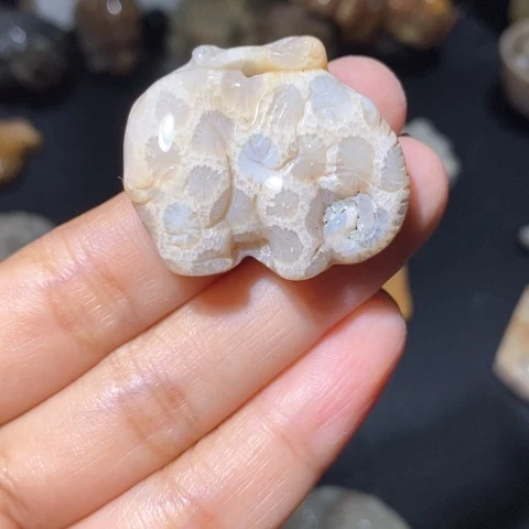 【闪购商品】硅化玉吊坠(不含链)未镶嵌