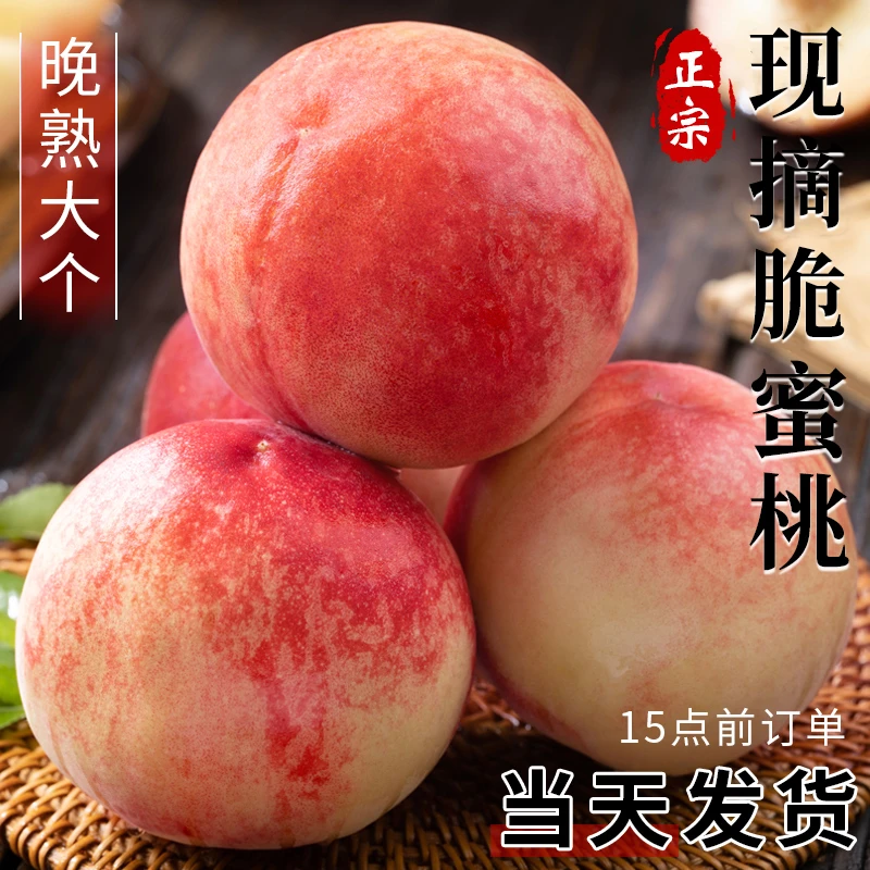 现摘现发正宗4.5斤现摘脆蜜桃脆甜多汁新鲜甜水蜜桃孕妇水果当季
