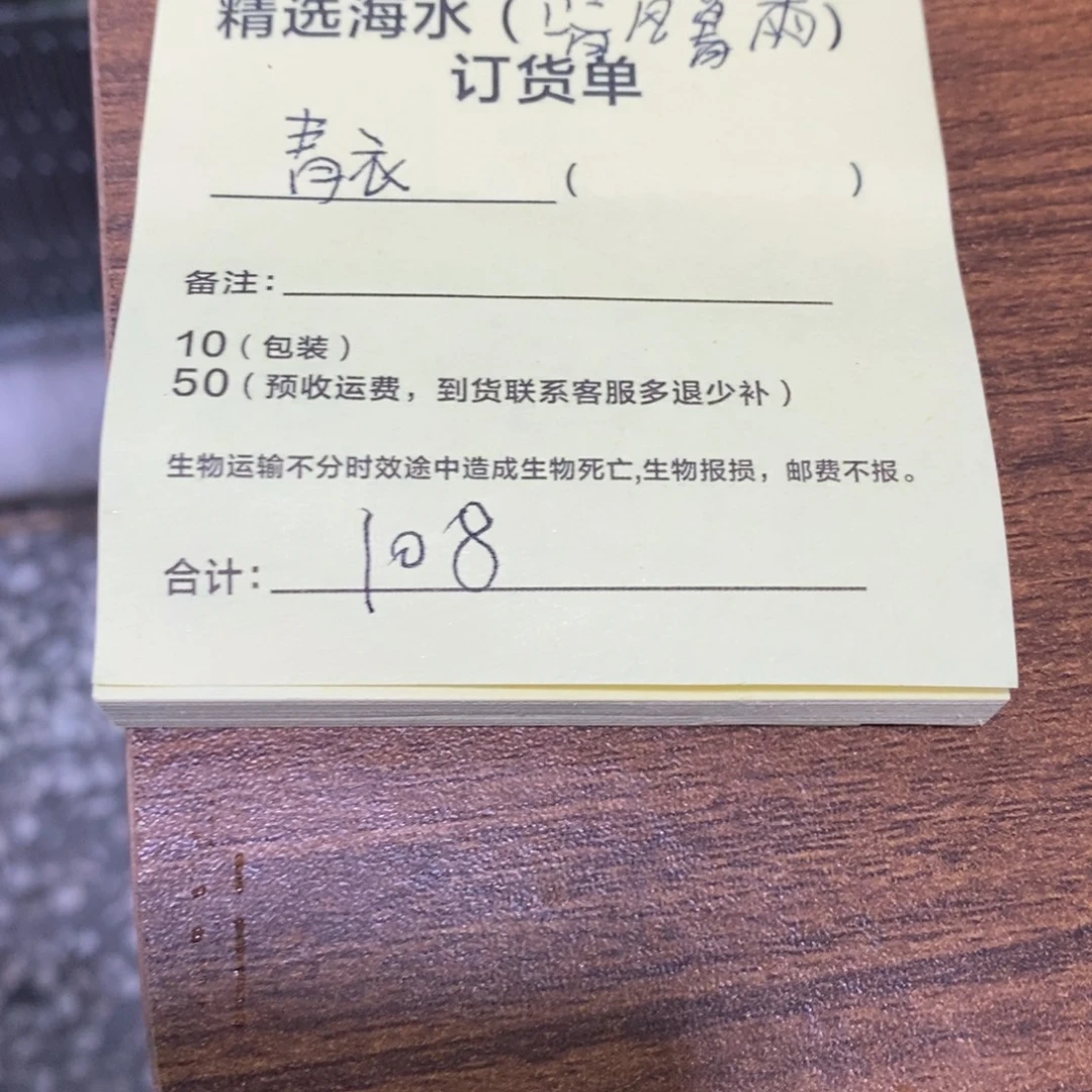 海水鱼青衣一个大尺寸