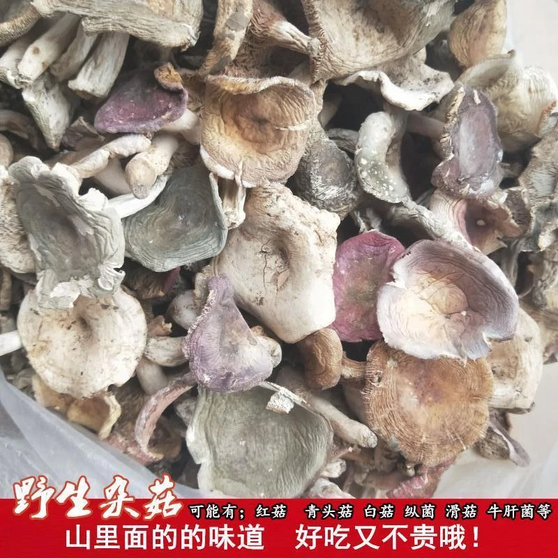 野生菌干货蘑菇干杂菌菇野山菌菌类特产红菇青头菇干菌菇菌子食材