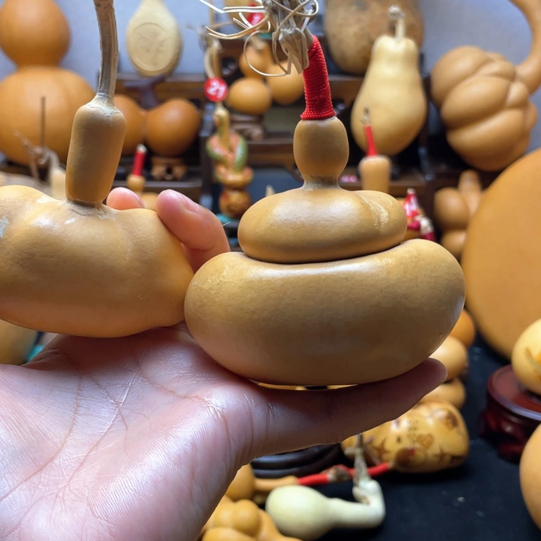 大****业大自然的秘密第十一节的