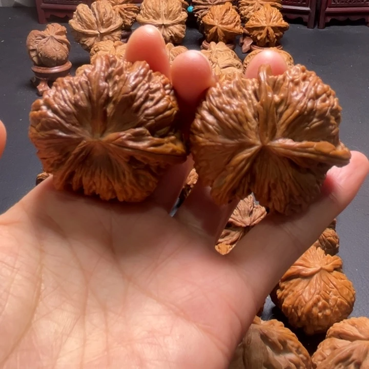 白狮子三棱球连44尺寸核桃哈哈哈哈哈哈