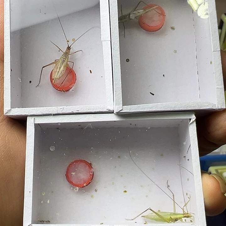 老***钓蟋蟀哈哈哈哈哈哈哈哈哈哈哈