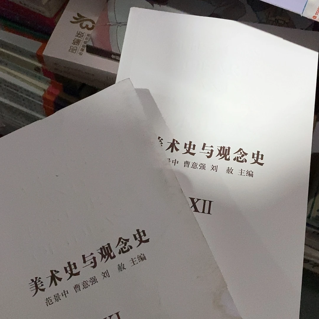 瑕疵  美术观念史
