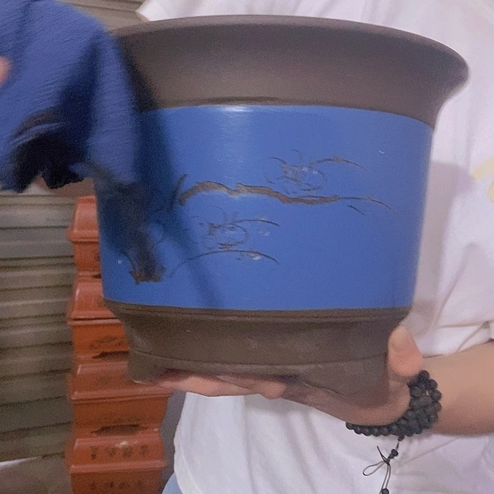 无花朵哈哈哈哈哈哈哈哈蓝色刻绘金金钟