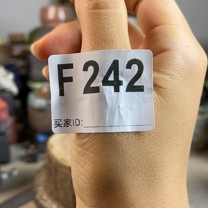 ****6开播福利 陶瓷花盆 默认微次