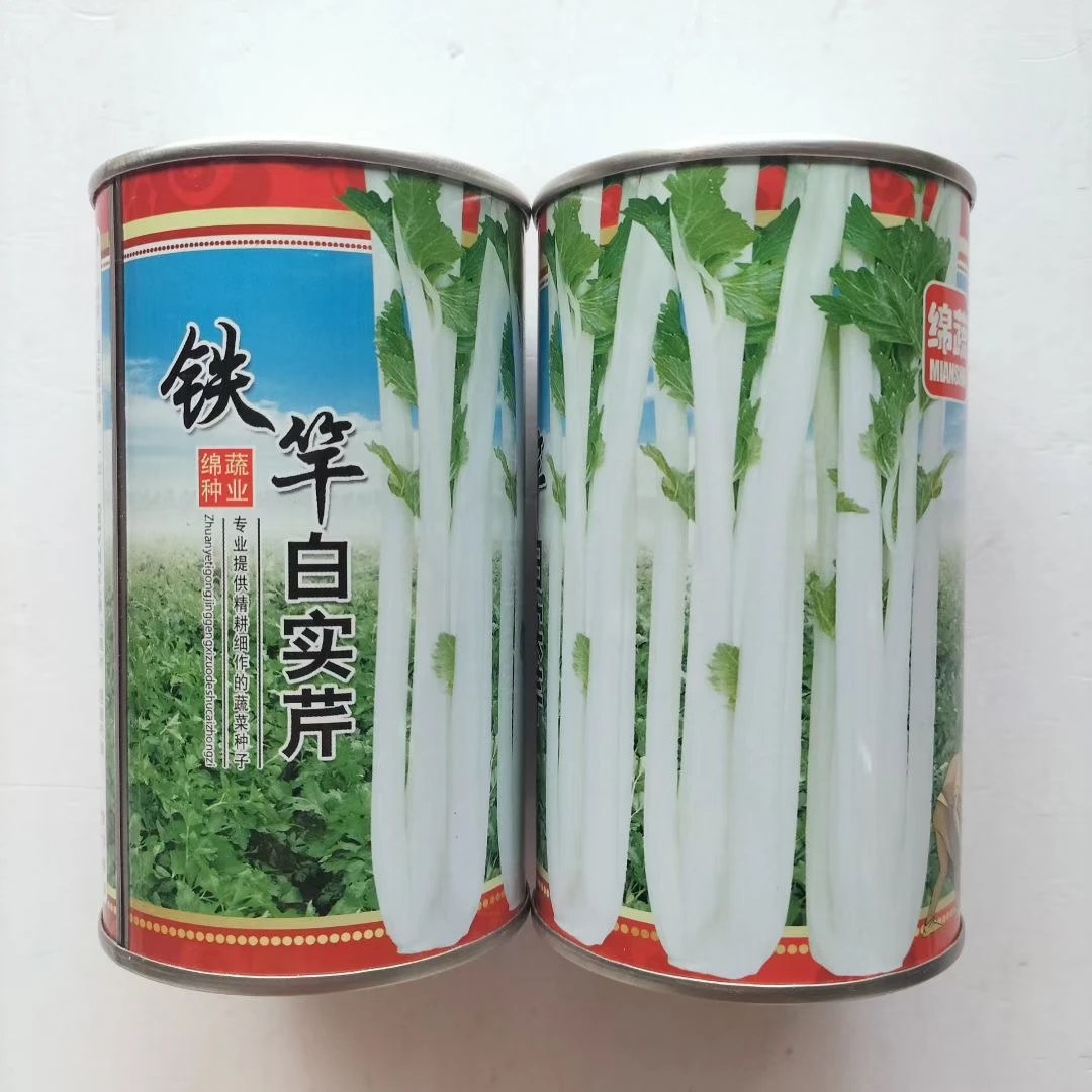 铁竿白玉长芹菜芹菜种子高产抗病耐热耐寒春秋播农家菜园基地种植