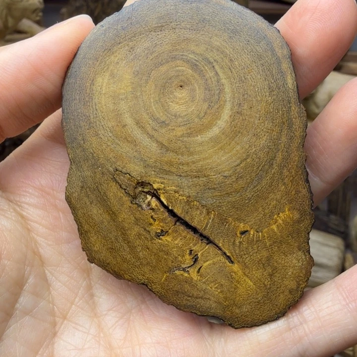 沉香碎屑沉香惠安沉香手把件10.1克