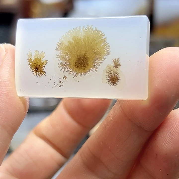 玛瑙/玉髓未镶嵌珠宝半成品