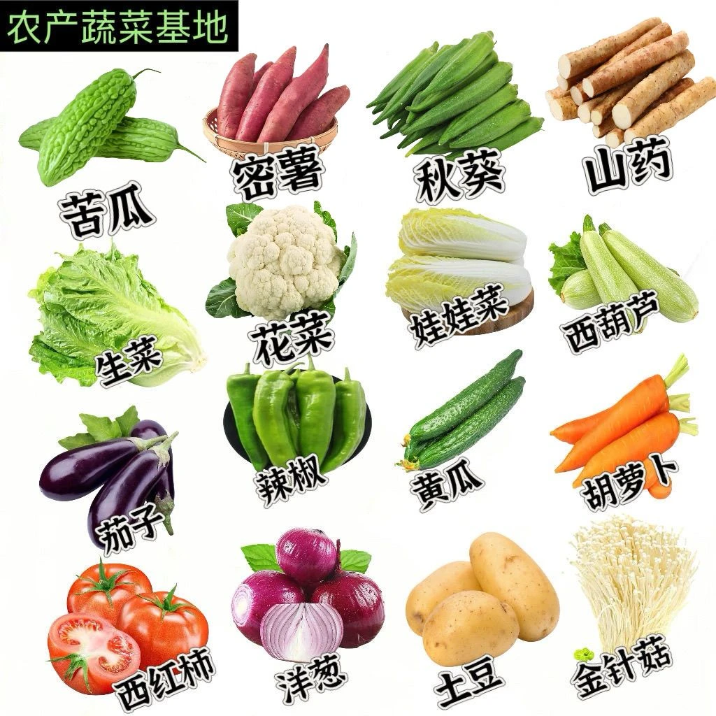 有机标准蔬菜时令蔬菜当天采摘蔬菜包多种套餐组合混装盲盒大礼包