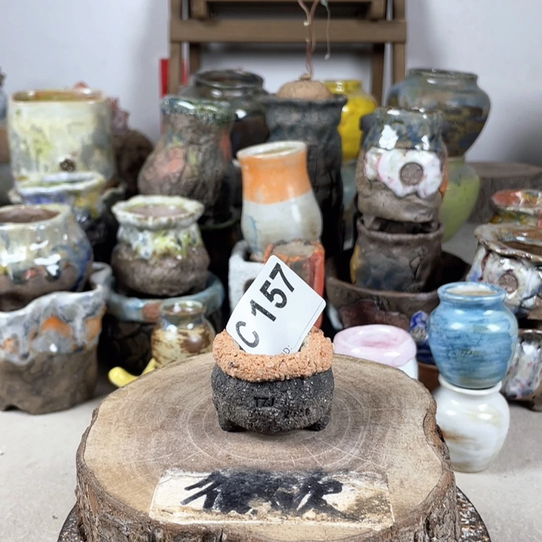 紫砂花盆开播福利 陶瓷花盆