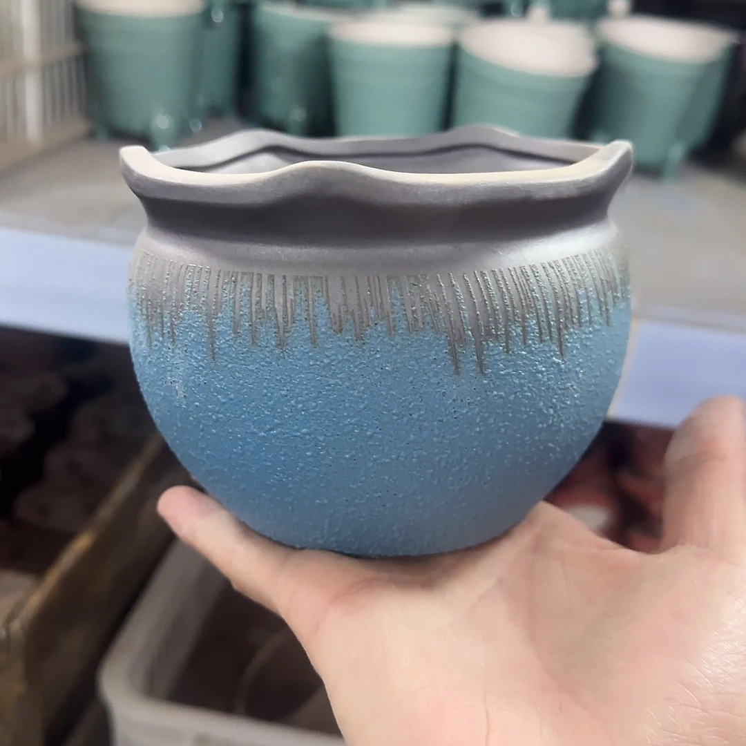 福利局绿植多肉盆［凑9元包邮24小时发］5055