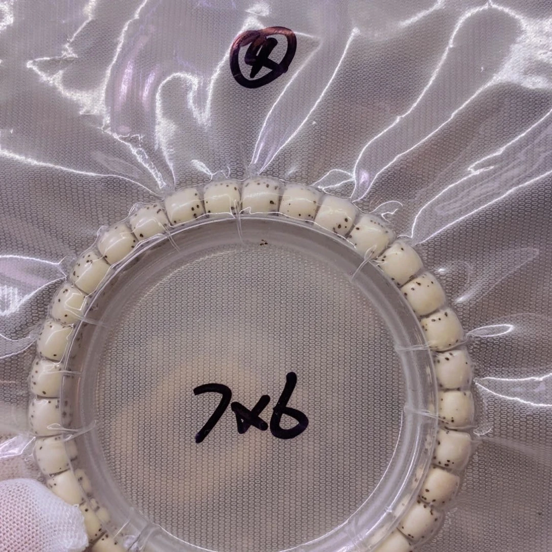 星月菩提手串9999999999999