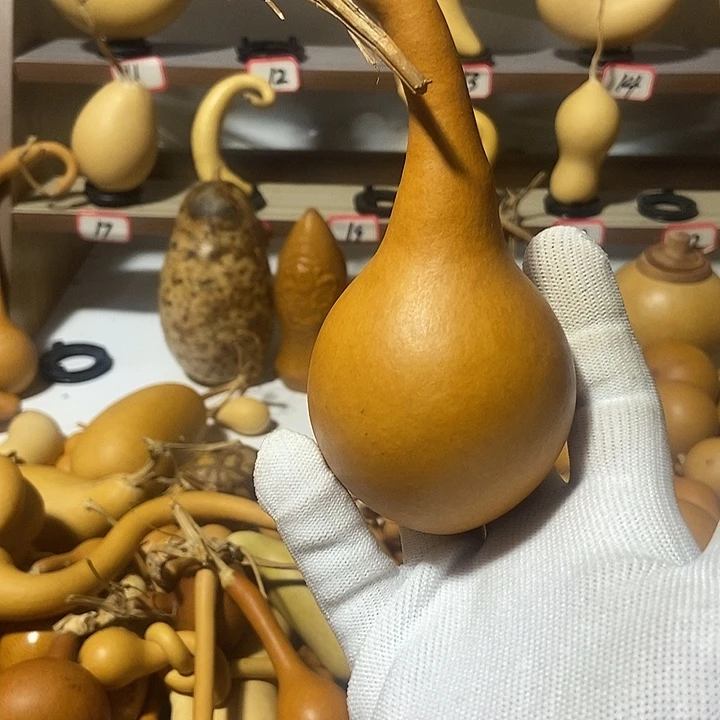 葫***态有机玻璃直播间里的人，钢琴链接