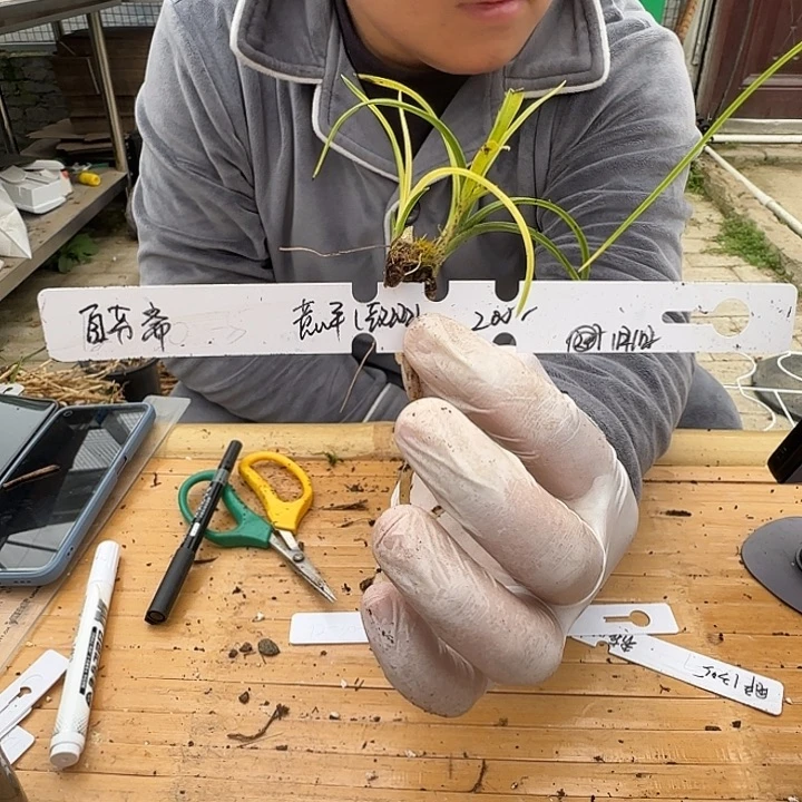 完全开放12345678