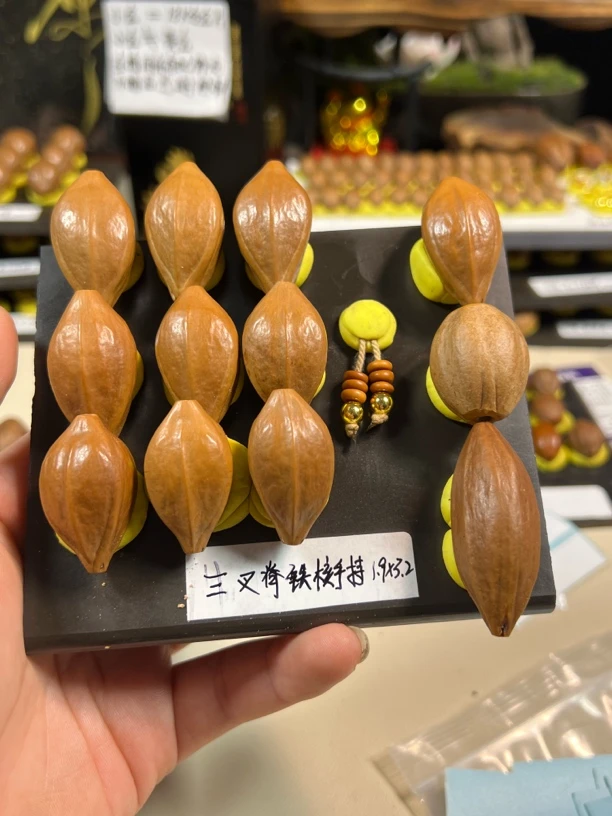 【三叉脊手持】橄榄核手串手持展示为样品与实物有细微差别