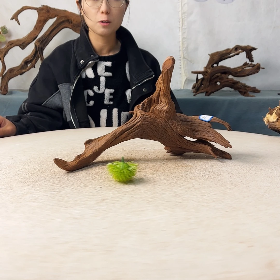 沉木造景爬宠造景