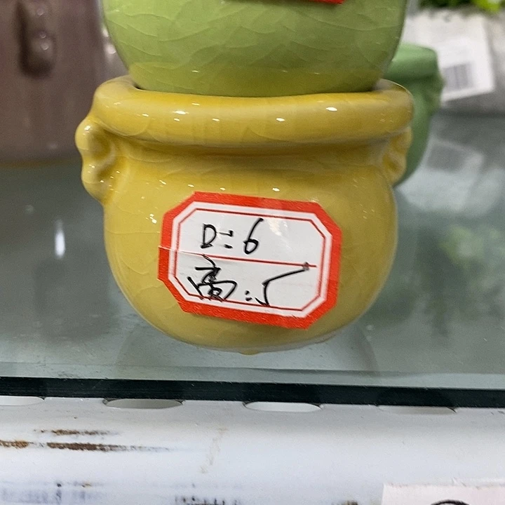 花盆抢购清货马上开始