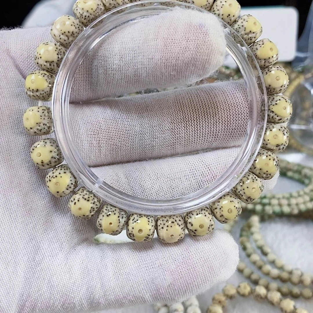 星月菩提手串星**海星月菩提雕刻艺术