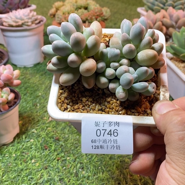 0746啊啊啊啊啊啊啊啊啊啊