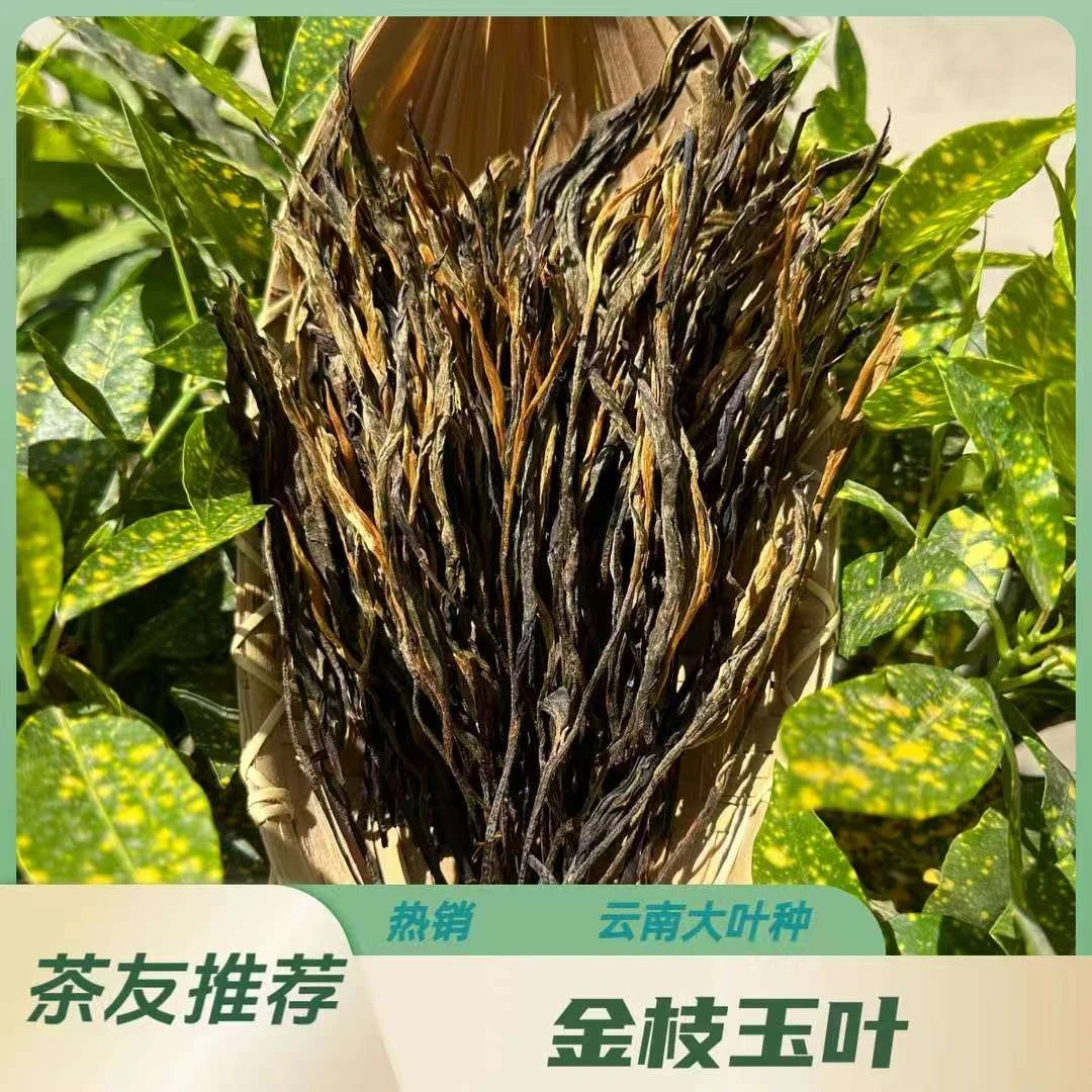 云南大叶种金枝玉叶红茶把子茶