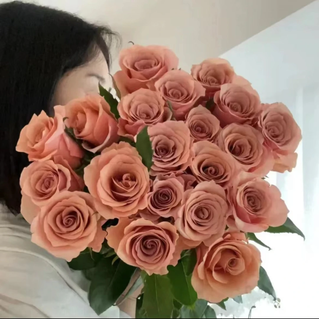 【20支-莫泊玫瑰】满2单中通特快冷链 送货上门 云南鲜花