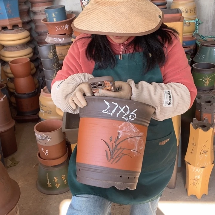 紫砂花盆盆栽花卉苗木种植