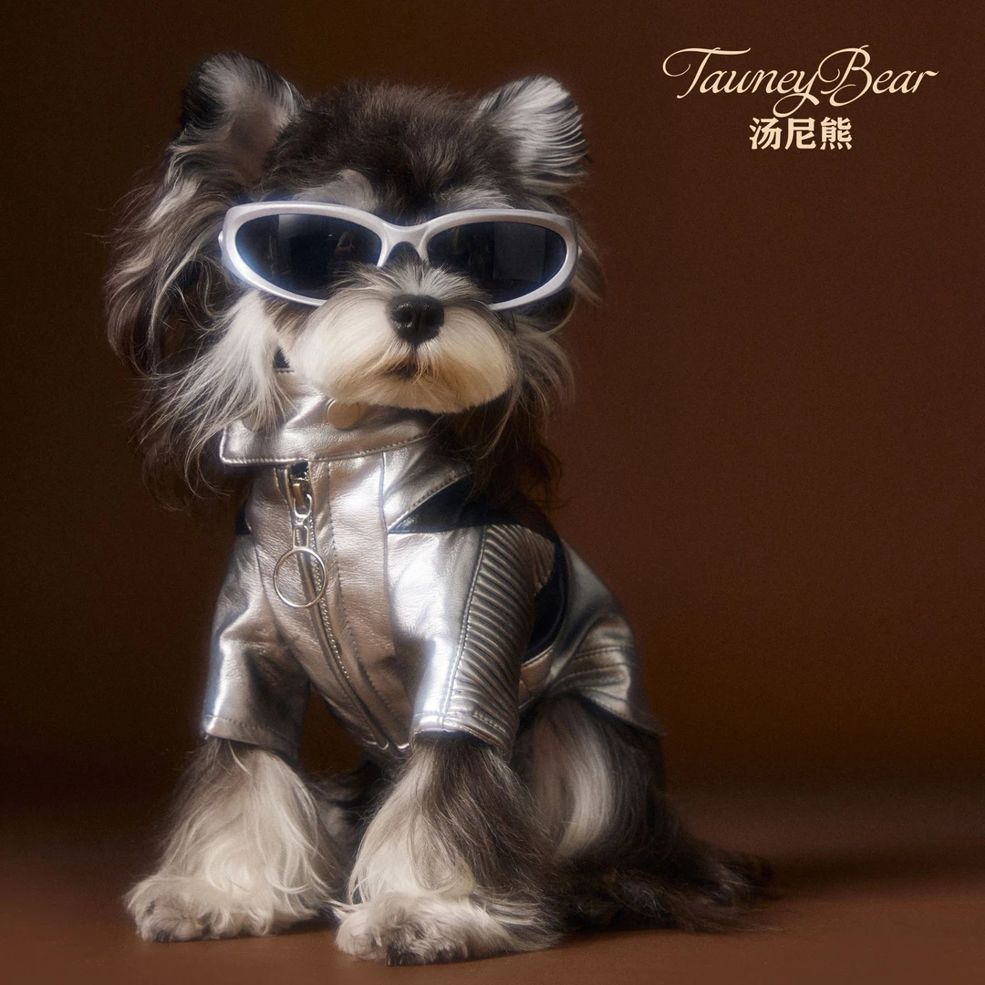 汤尼熊 狗狗衣服秋冬新款泰迪雪纳瑞比熊两脚帅气做旧银色皮衣