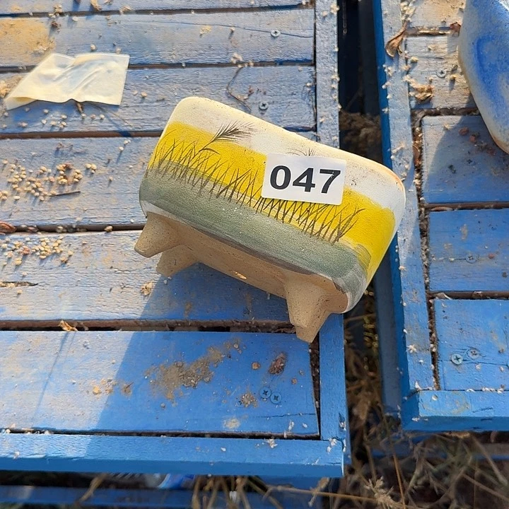 小***画047花盆一物一拍16131