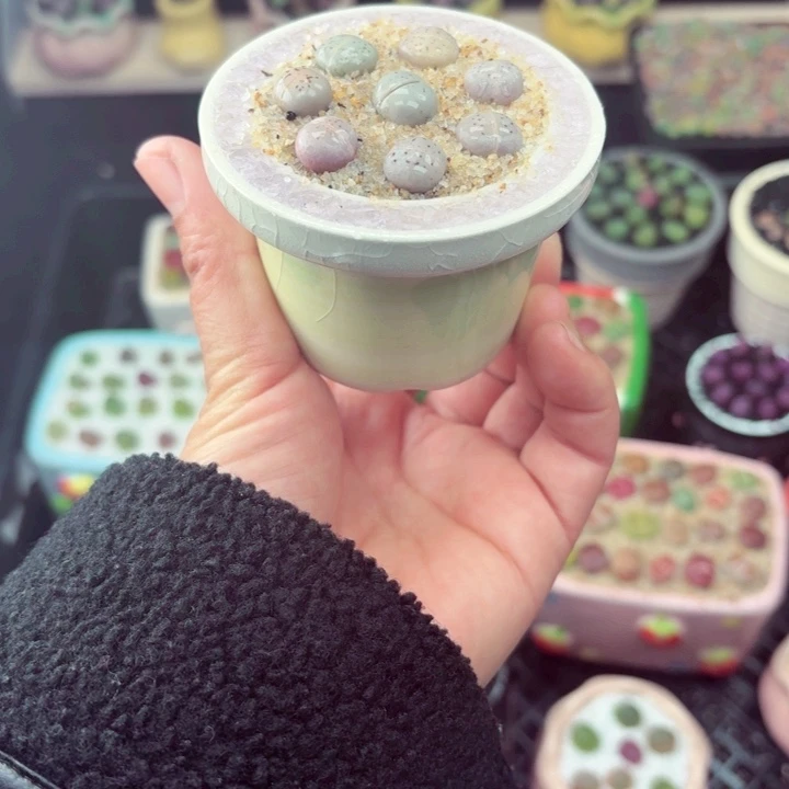 889零下地区记得拍保温箱满18包邮