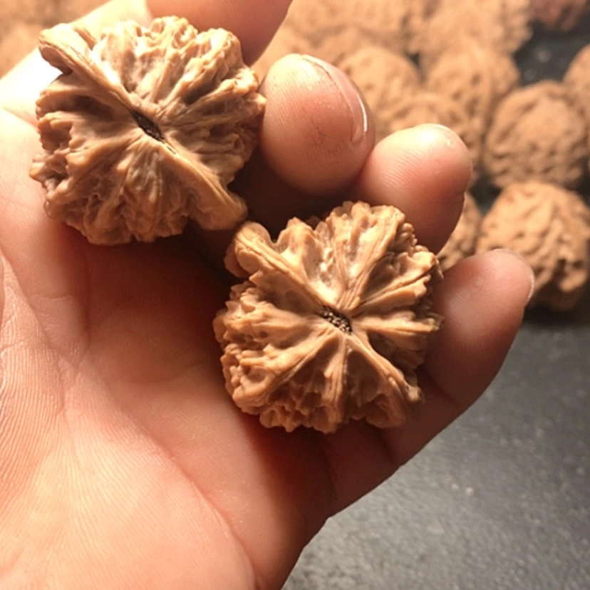 【闪购商品】茶*金牛