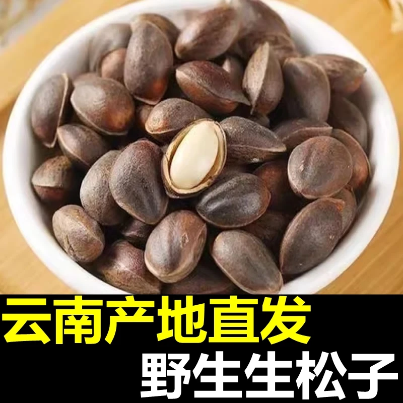 云南特新鲜野生松子的直播间现摘新货产地直销散装大颗粒原味批发