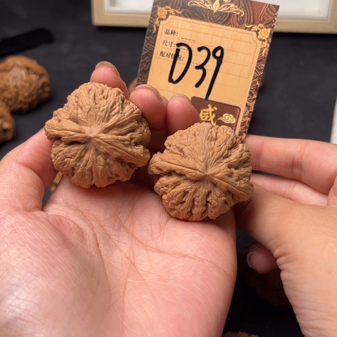 核桃d39粗筋1111111