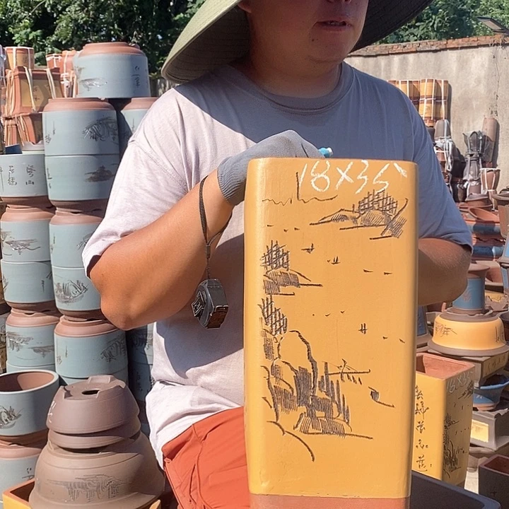 紫砂花盆盆栽花卉种植