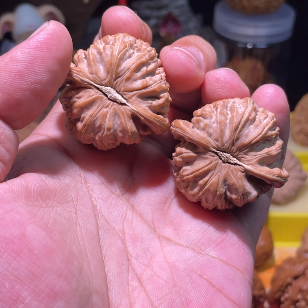 晖***把件文玩核桃41白狮子红皮满肉