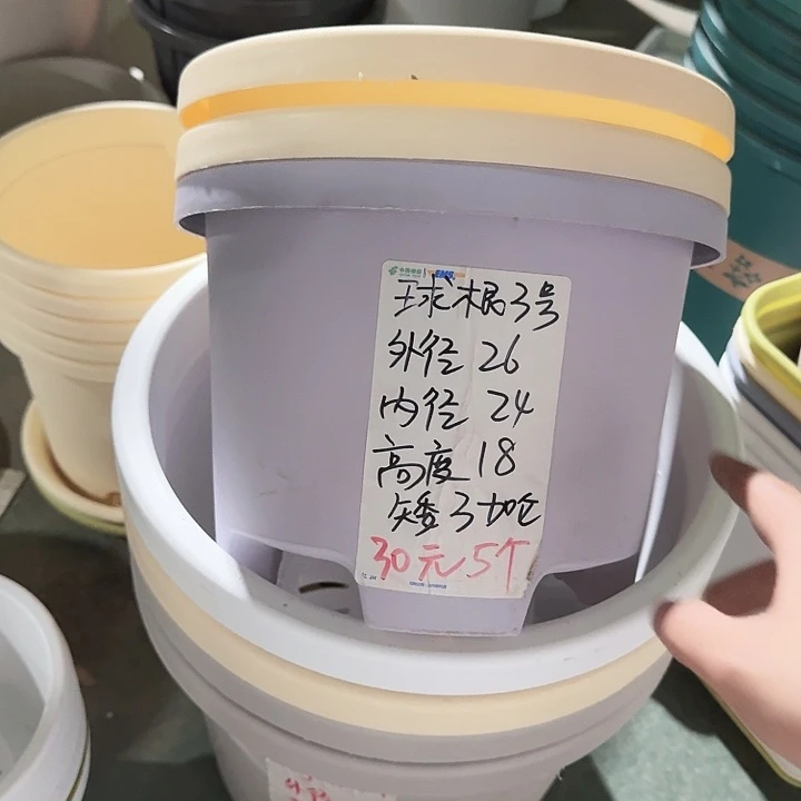 球根26口径6个无托灰白