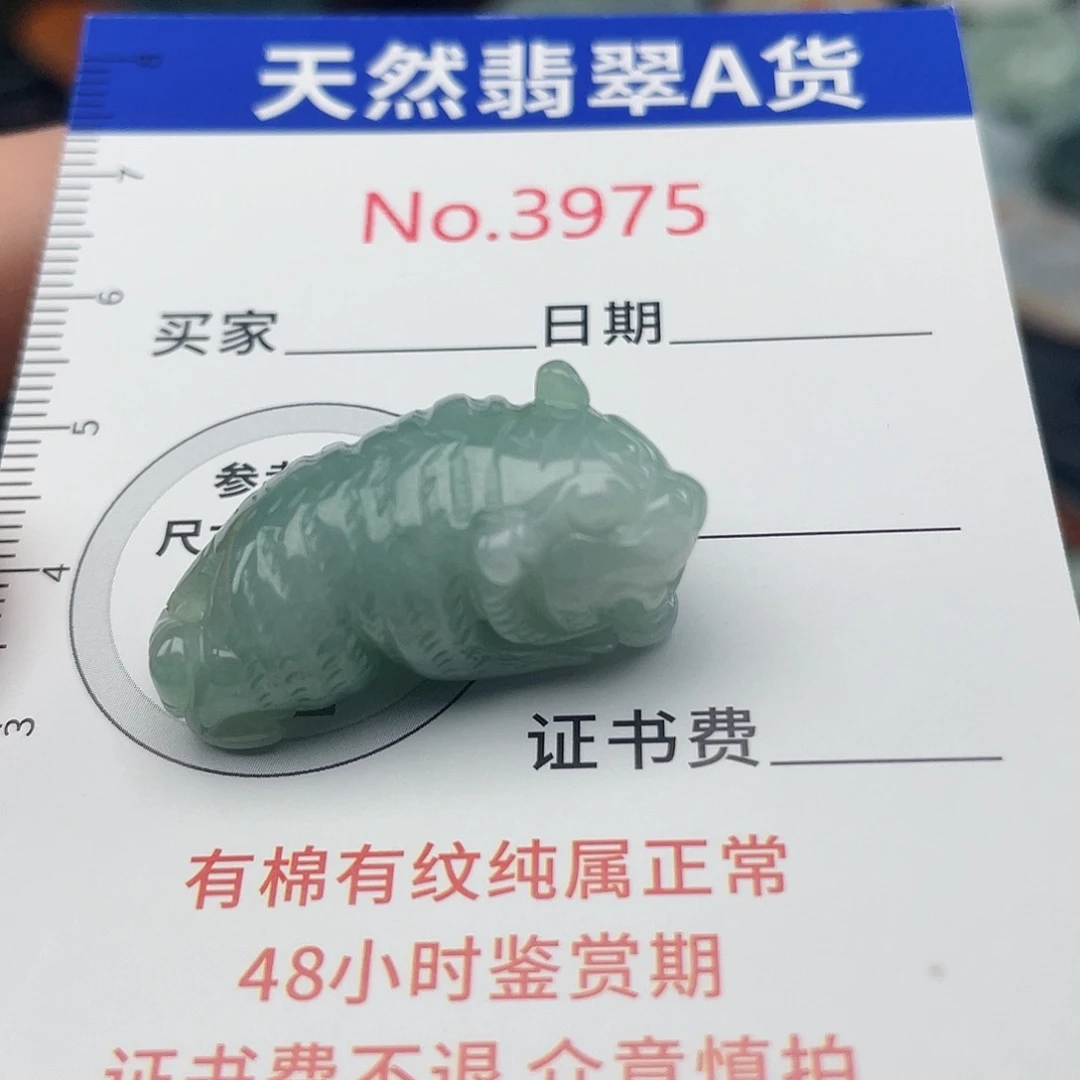 翡翠未镶嵌挂件3975