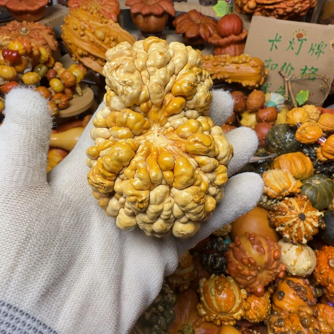 蓝****特价瑕疵葫芦不退不换