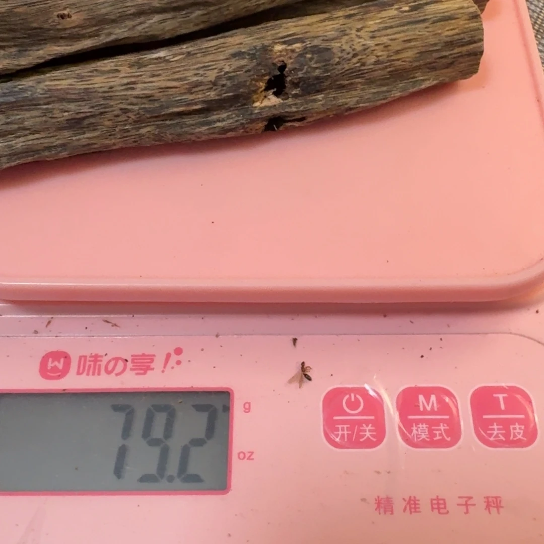 南***鹅香榧木奇楠透顶绿79.2克