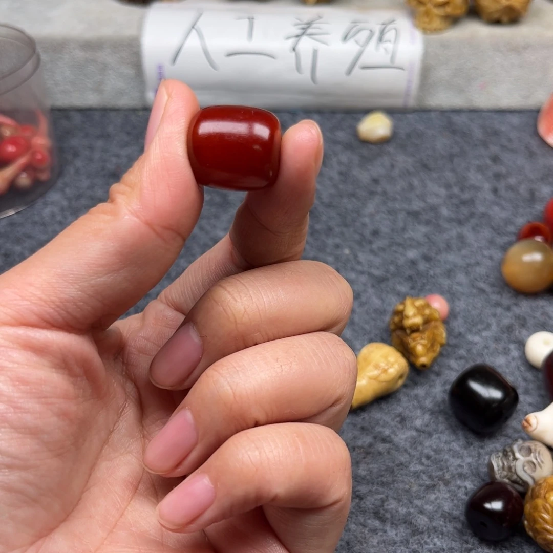 鹿骨其他人工养殖驼骨41