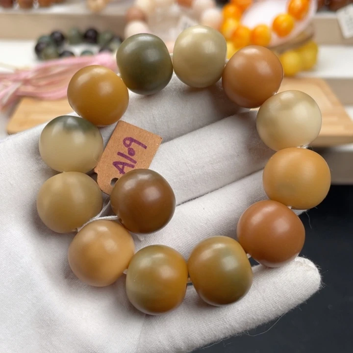 菩提根/象牙果吊坠卡19干磨通货