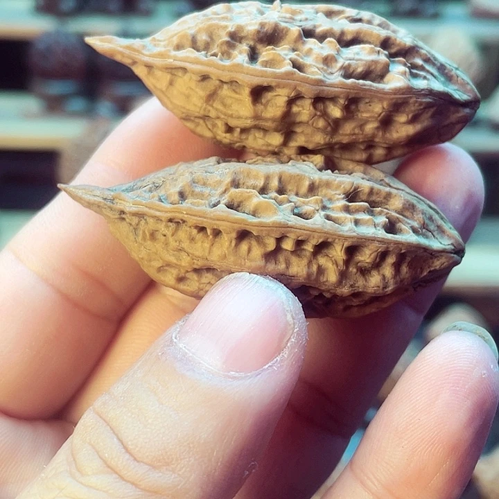 文玩核桃把件小鸭嘴兽对