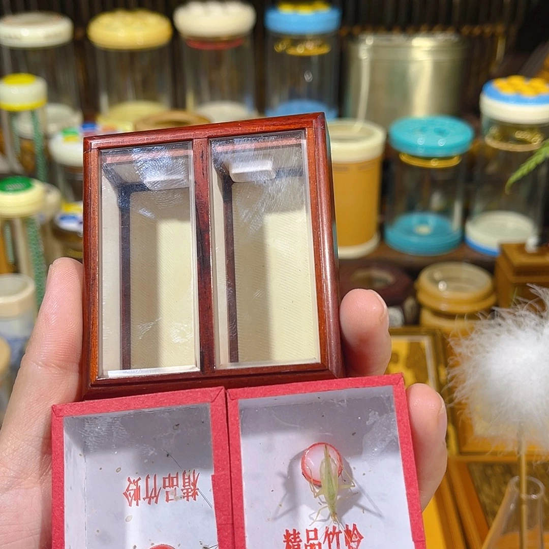 蟋蟀老红木竹蛉盒+两只竹蛉