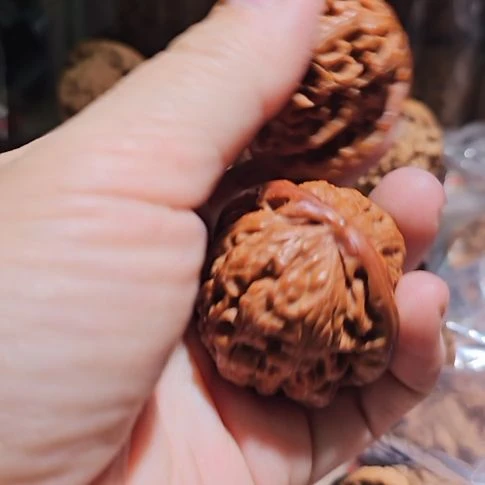 吊坠文玩核桃40白狮子