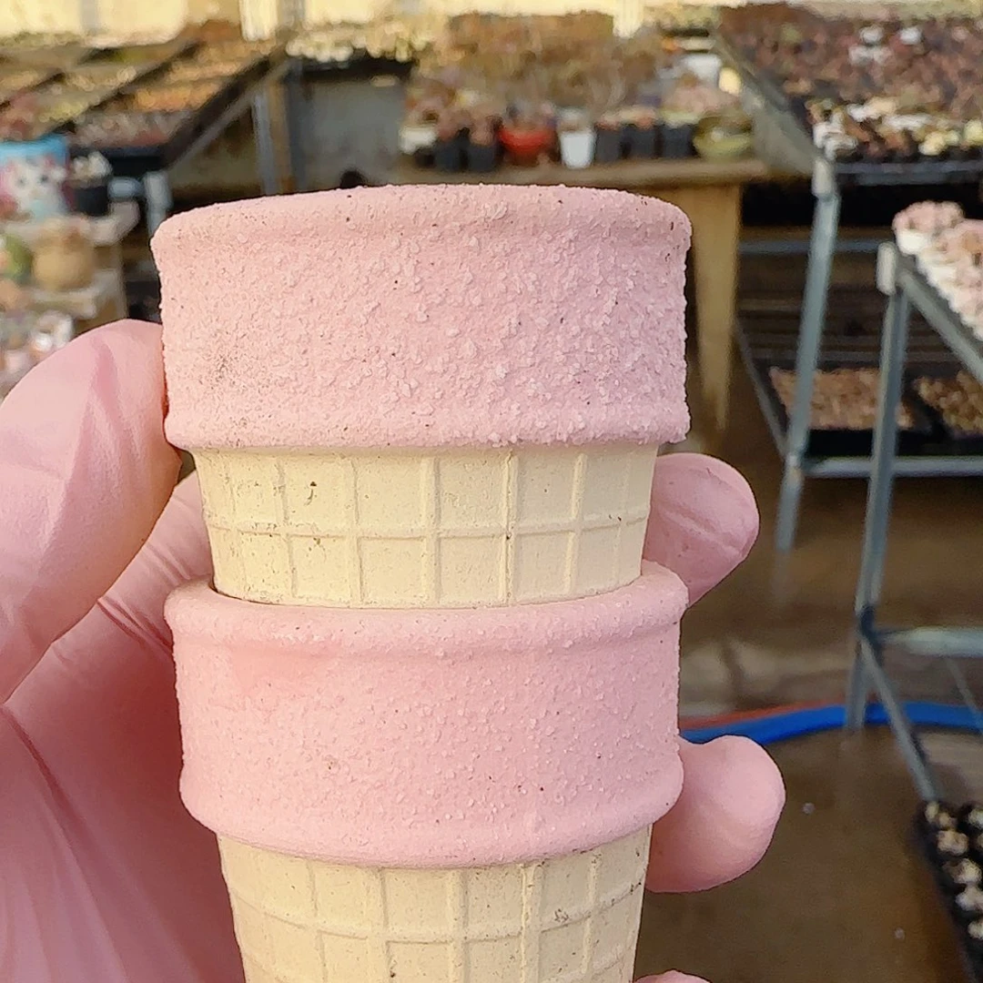 闪***烁粉色冰淇淋盆 盆口4cm